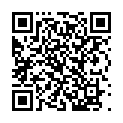 UPI QR Code